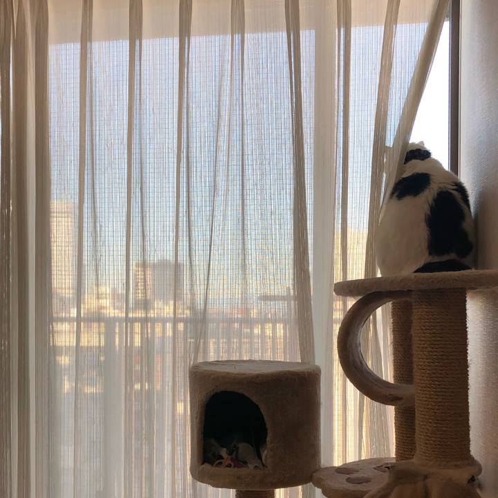 Dd0a0004 0691 4823 81a9 d3fdd20eb65c 1548026893105