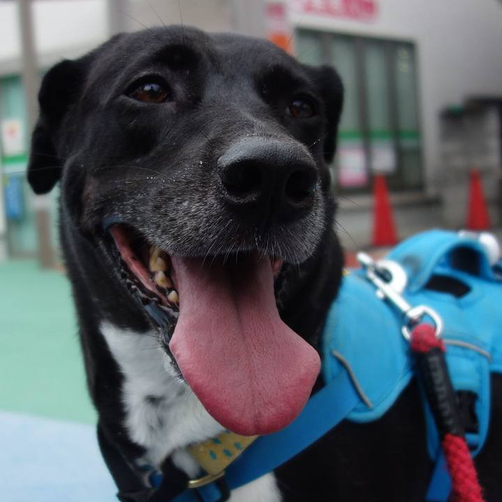 Dd0a2ea8 4e08 49f5 9074 661473242d62 1629679793126