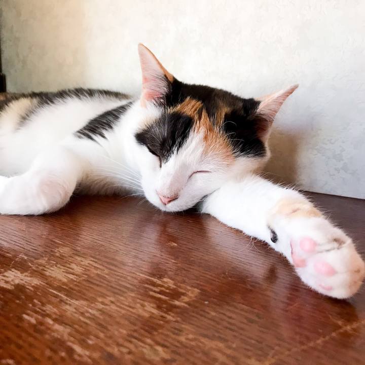 Dd0a395c 0a48 4a46 ba66 bc94dba9c3d5 1533305933748