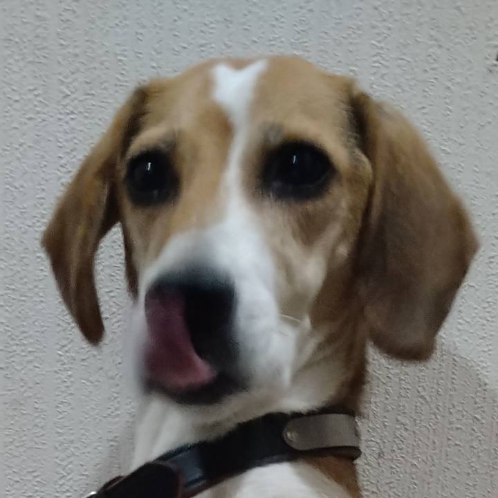 Dd0a3ba9 58ee 4215 8cb8 576b939fe83b 1663758021954