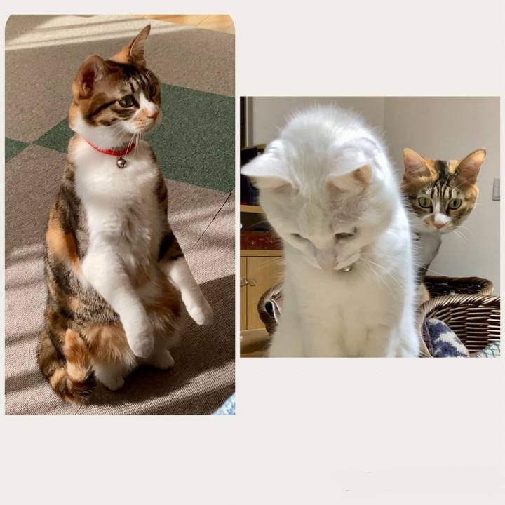 Dd0a57ae f1ee 4506 a011 7a480e3ad183 1737612992349