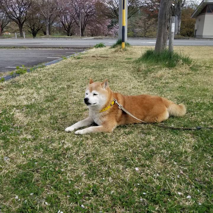 Dd0a5d27 a360 4db1 b793 b84178254d66 1681622329498