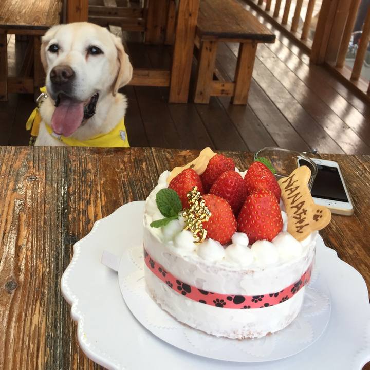 Dd0a7e3a 1b8b 44e7 ada2 1bd38239b10e 1543046607345