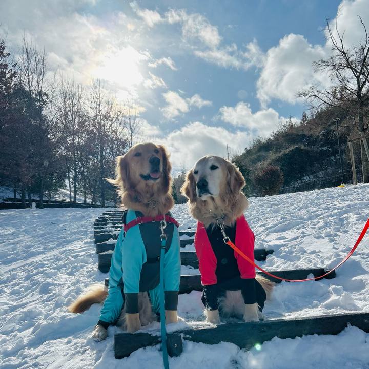 Dd0ad6c5 8648 450f b24c 617900250aa5 1770536787518