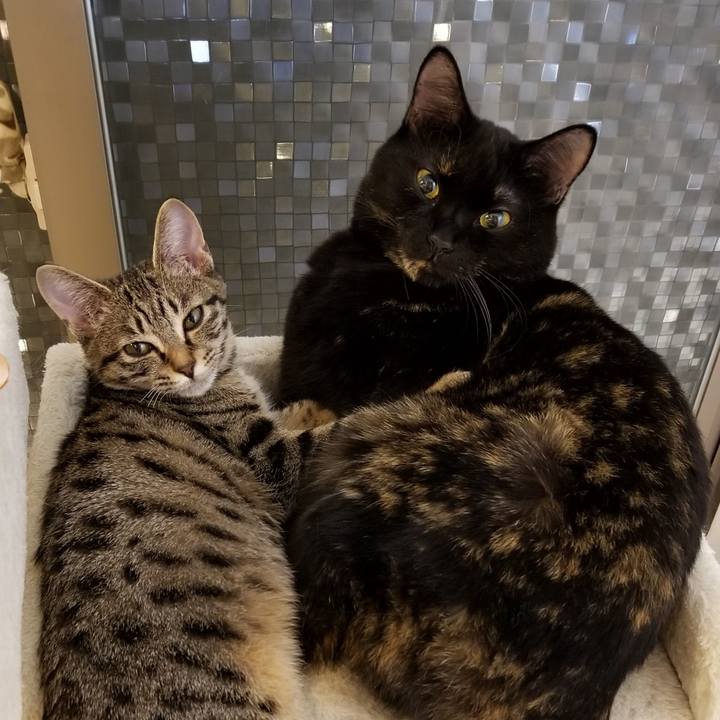 Dd0ae565 e5d5 49b2 a087 d437911e8fb6 1541065807768