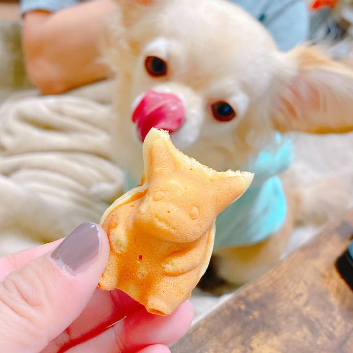 Dd0b227a 6d90 41b9 ad80 9f21098cfdd9 1639313382194