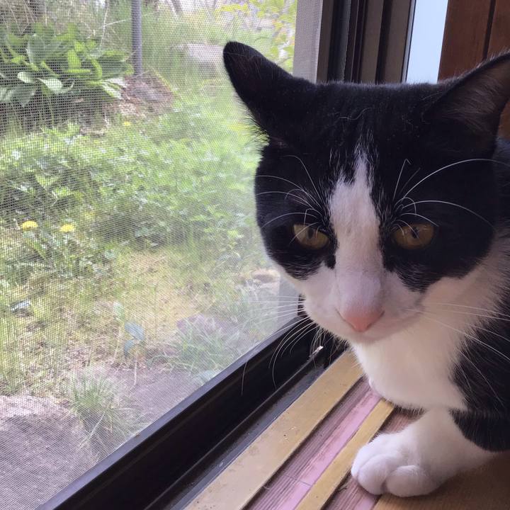 Dd0b46e4 4f0b 4957 9e37 c3cf2700fbb8 1650082677186