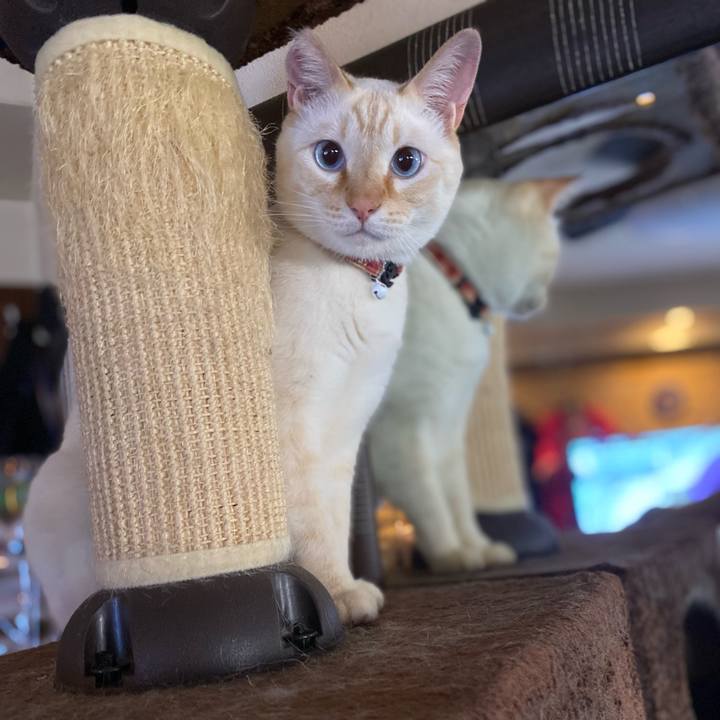 Dd0b51e6 d2ea 4830 a054 6baba4eeebf9 1748559150921