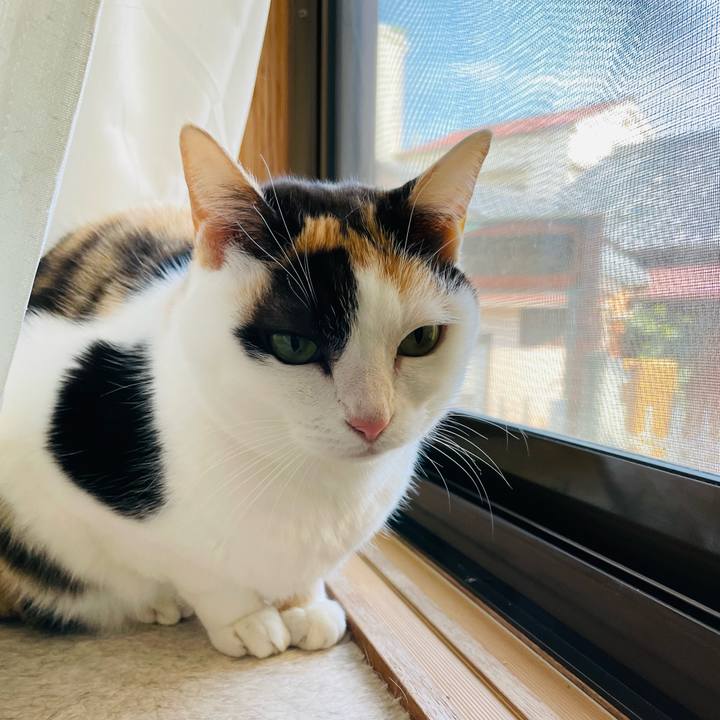 Dd0b7e8d a364 422b ad47 6f8b83134cc5 1646877152628