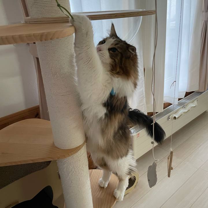 Dd0b8e56 41d4 477d b040 370e8f7163f6 1718740001078