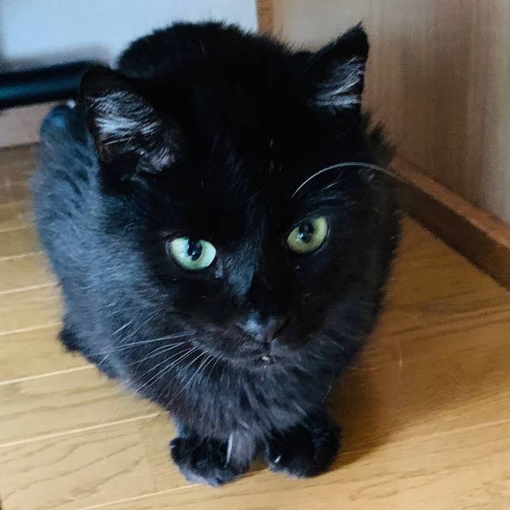 Dd0ba2be c1c2 4787 8290 73d28c8ae611 1599194668995