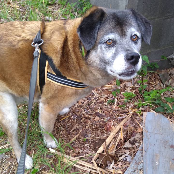 Dd0ba9ba 1c45 46ff a04d 9a8cc2b55311 1557788478872