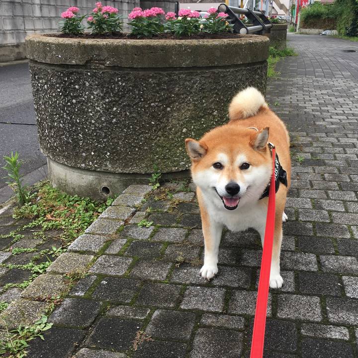 Dd0beeb5 6ac0 4a14 9720 879e42855265 1594261118221