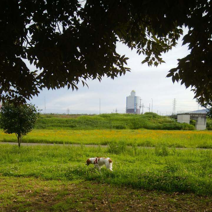 Dd0c21e8 636d 4f59 9897 cdf16572b051 1530317935890