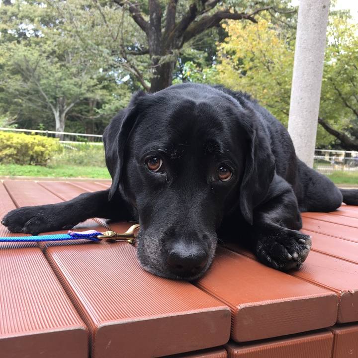 Dd0c2597 9965 40d7 bb8a 298c7205df8a 1748382795741