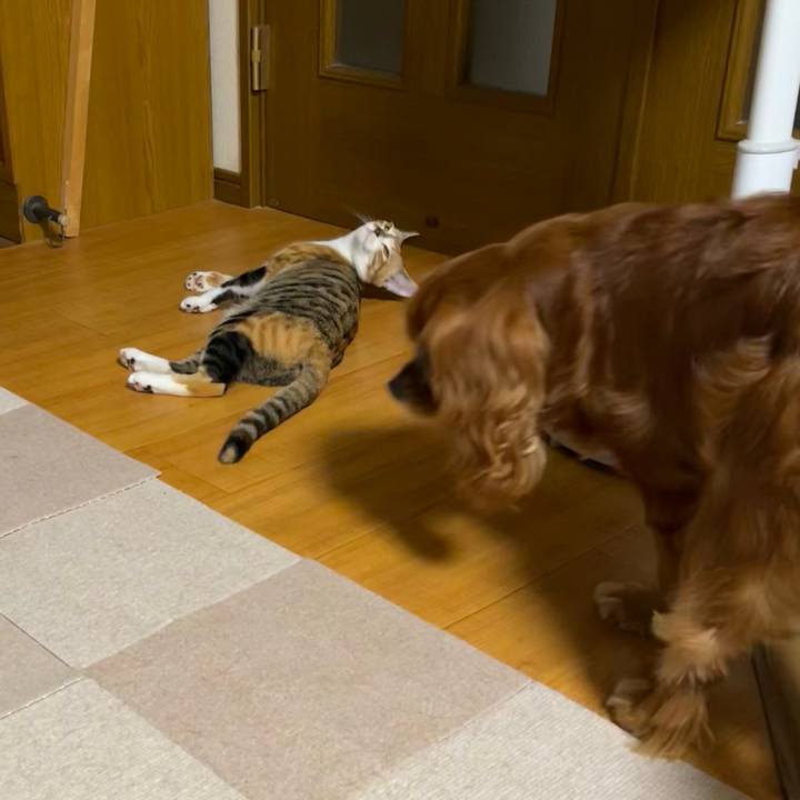 Dd0c39aa 214d 404d 9053 9437130012b6 1662676241905