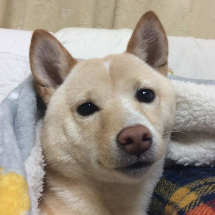 Dd0c4d74 c7e1 4808 a152 cd76205bf9a5 1515150285548