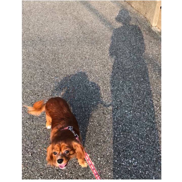 Dd0c4f28 1787 4177 9abc db8ddb294799 1564308806113