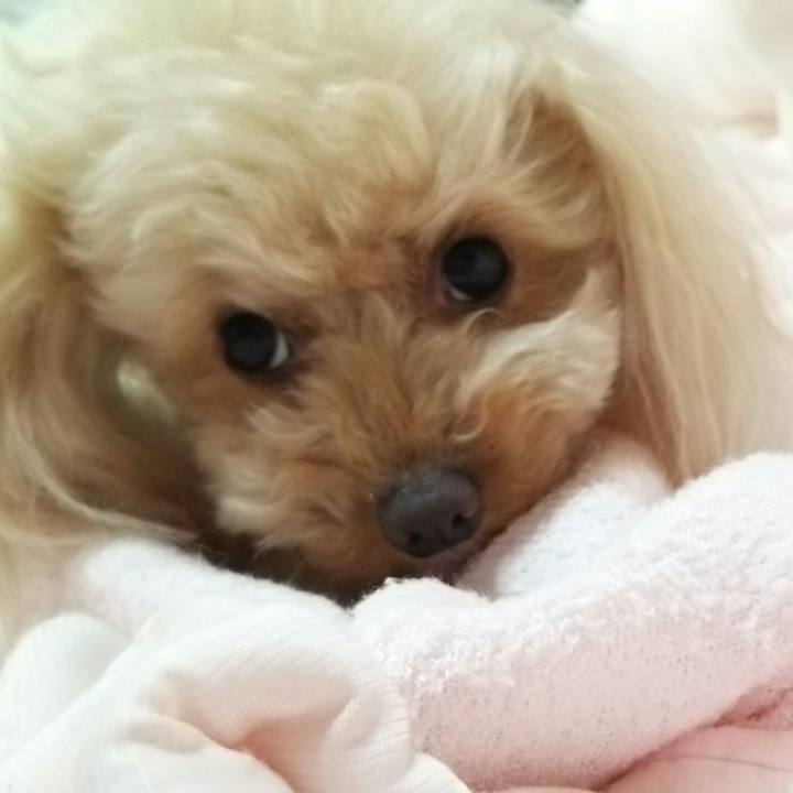 Dd0c71b2 1ec8 4bbb 9820 6bbdc768f1df 1527340331807