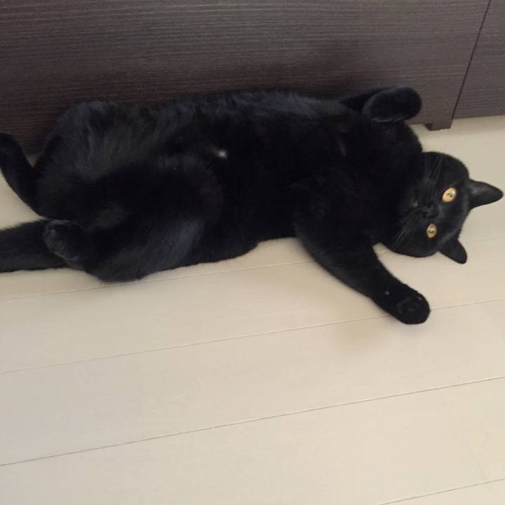 Dd0ca2f2 96f4 408d b825 08949d82ebe3 1557909947505