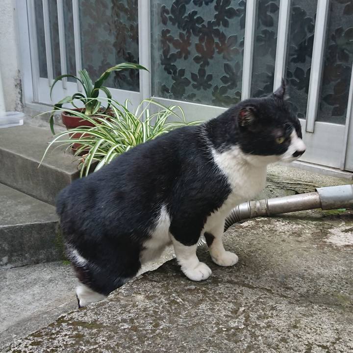 Dd0ca7e5 64ab 4408 97f8 9c43c5fa2313 1580874508197