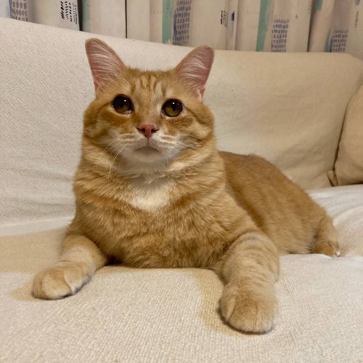 Dd0cac2b 3f3b 4430 ac93 dc3f6542977a 1756130966588