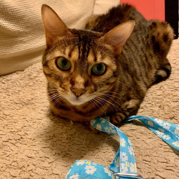 Dd0cb18b fb44 497f 8564 3eb3998849c8 1566788048469