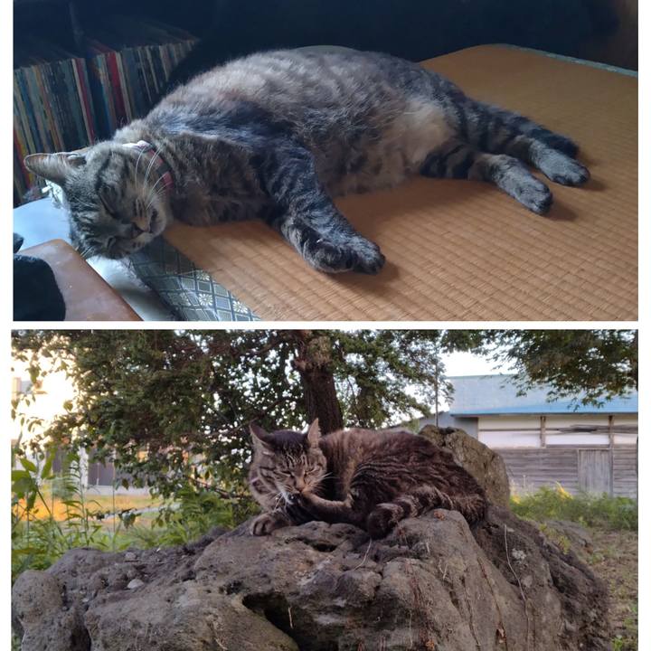 Dd0cc281 2c8f 4066 bb49 f08abc2fbec0 1721468671419