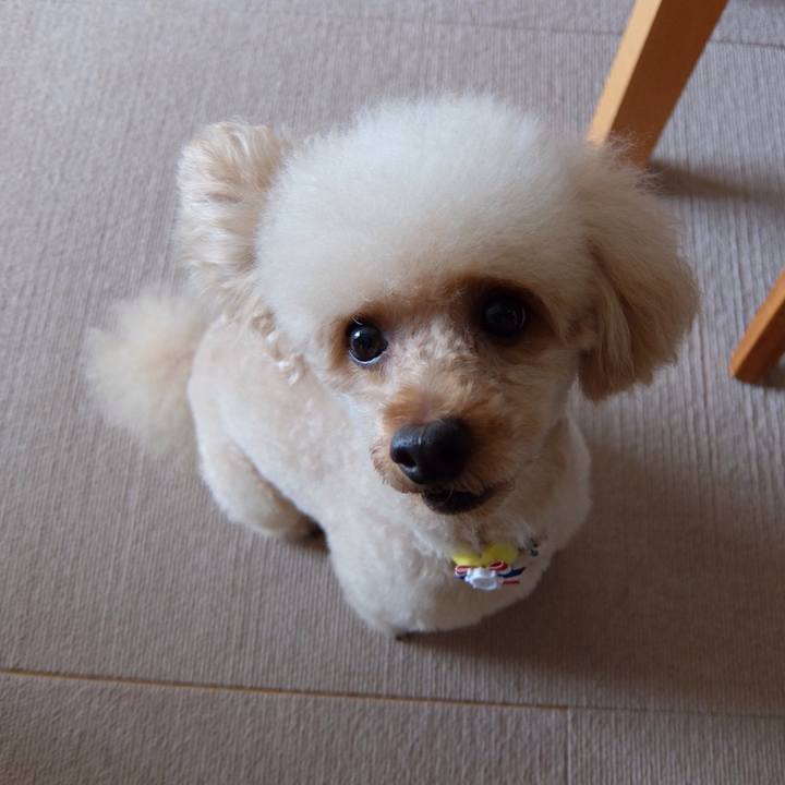 Dd0cfab1 684d 4201 8247 bd771d0bbb9c 1566216256584