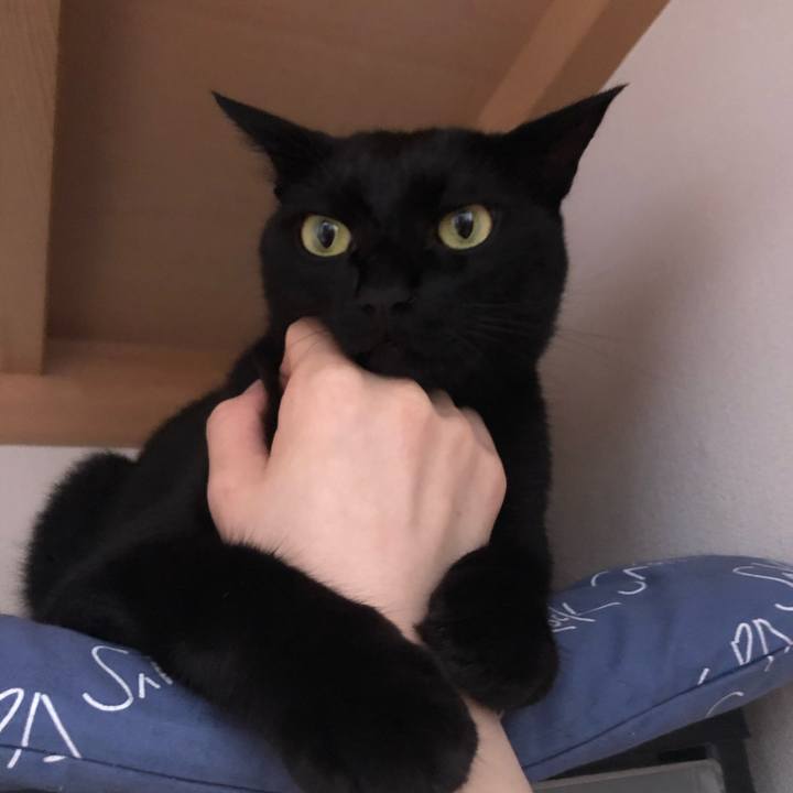 Dd0d1619 b697 4922 aa9e c2982929a47c 1593470186154