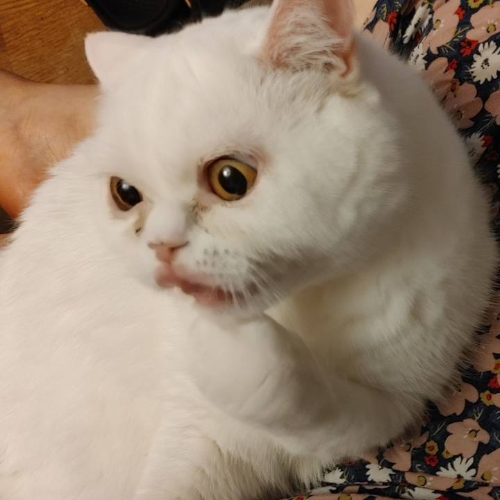 Dd0d1c5d 1f66 4204 abeb 0e1121402f34 1616296403067