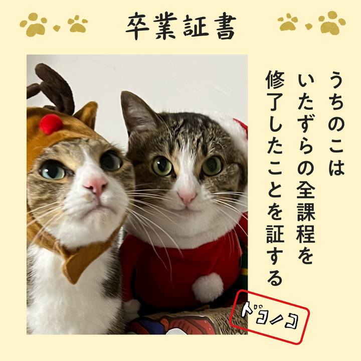 Dd0d284d 9fda 4fee b606 3650c0769548 1772143200906