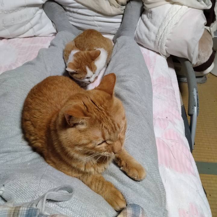 Dd0d2fb1 f82c 44bb 8974 e9cdf94e0a5c 1729502573011