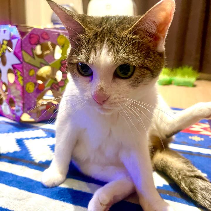 Dd0d4777 c9cd 4322 804b 2db890ded664 1630407998359