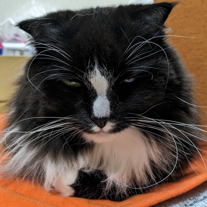 Dd0d5270 858e 4814 9687 f3f7e7144690 1705904004876