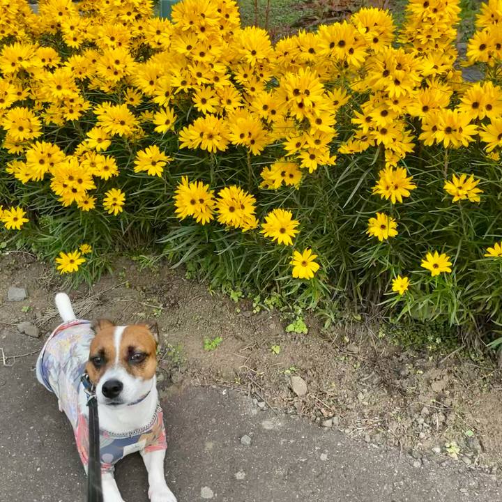 Dd0d6e39 f94e 44b9 a681 9f463b071913 1633762340057