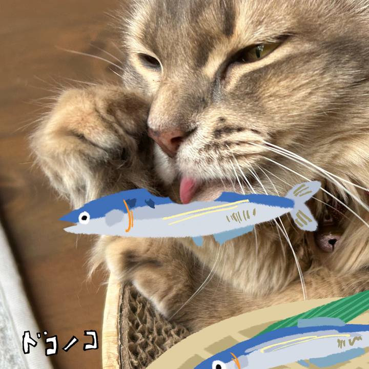 Dd0d8096 9870 491c 842e 5c0b1c757f93 1789732159405