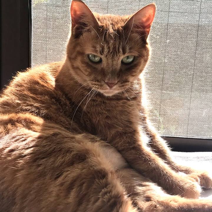 Dd0da2d8 d296 4b01 87a9 5e96e025f059 1605924488139