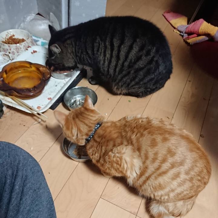 Dd0dc6e4 07bc 4c1b aff1 becc7187f0b4 1639773530958