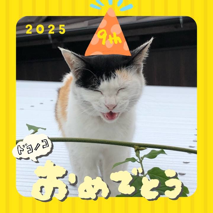 Dd0dd087 e427 4127 8dea ffd7f2aa1005 1749209232964