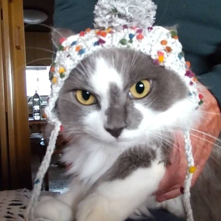 Dd0de4f6 b65a 410c 8f26 9e2b9f7576b7 1701501454093