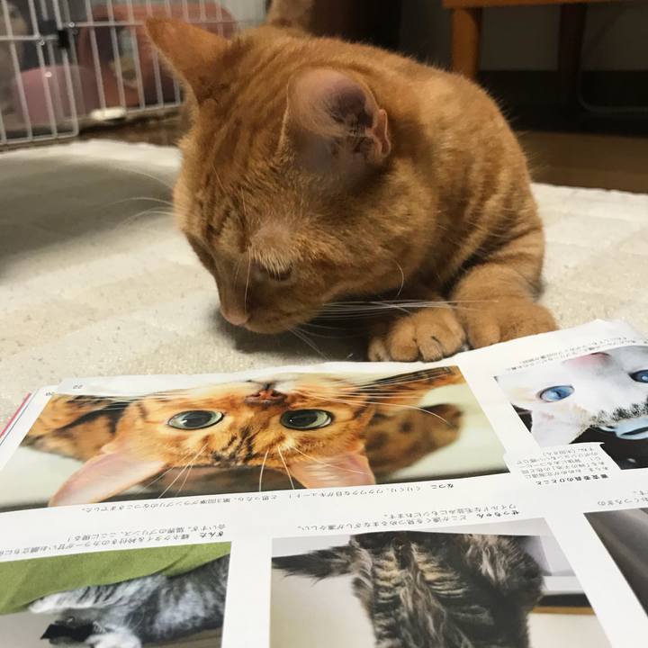 Dd0e5ac8 0ca5 4289 83d2 e9ae4428efe5 1530231920939