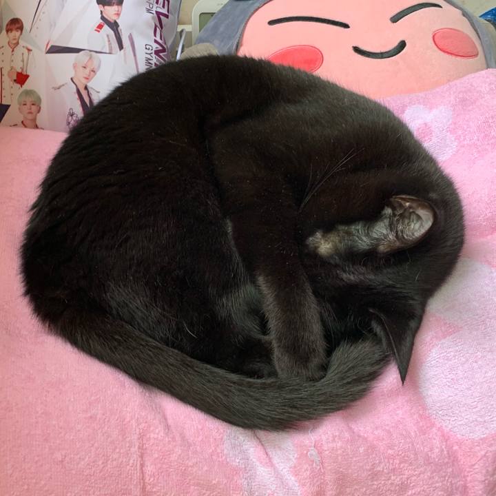 Dd0e5d88 f06c 43ef 9296 51bfbe702c4a 1566703770964