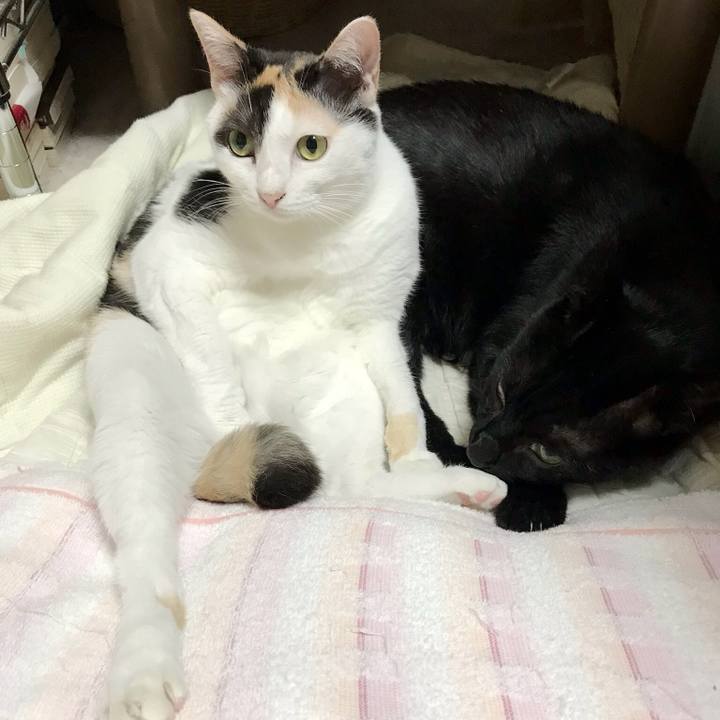 Dd0e6e7b dfb8 48b6 8859 4ffc018d8234 1536332404855