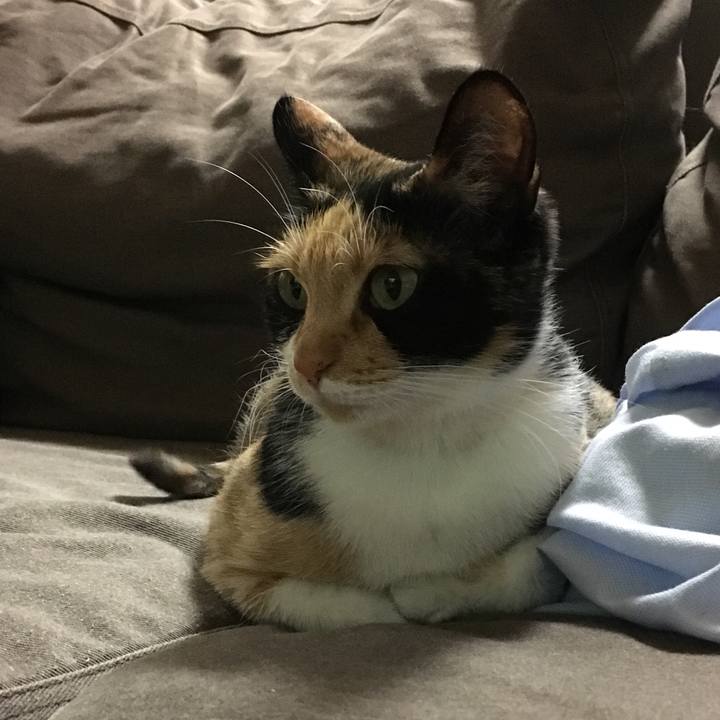 Dd0e82bb 253f 407c 954a b1589d5e2bed 1510320455513