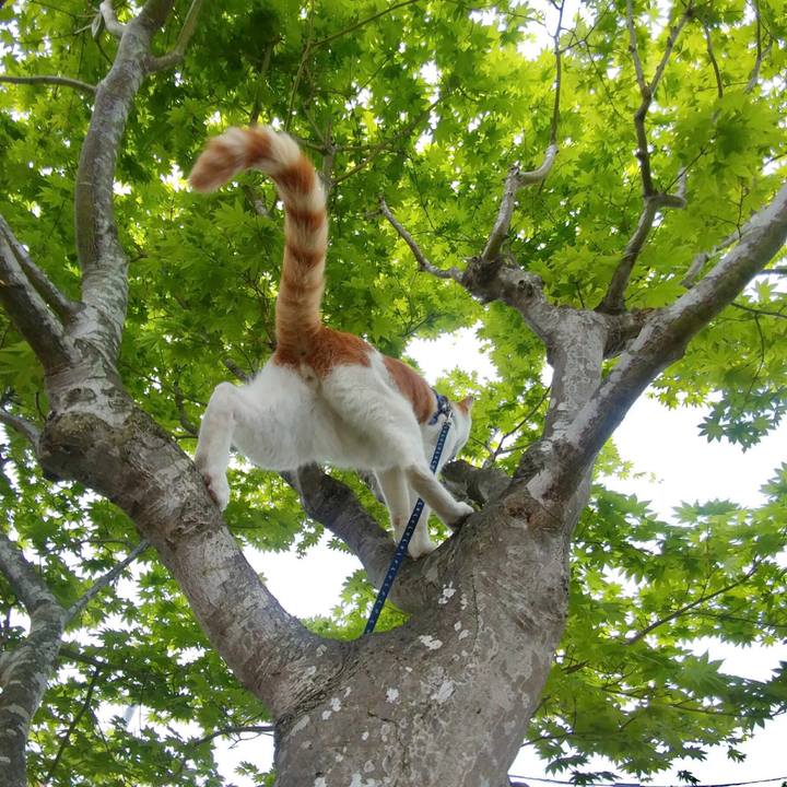 Dd0eb831 214c 4576 b401 654b87d337a3 1525599654959