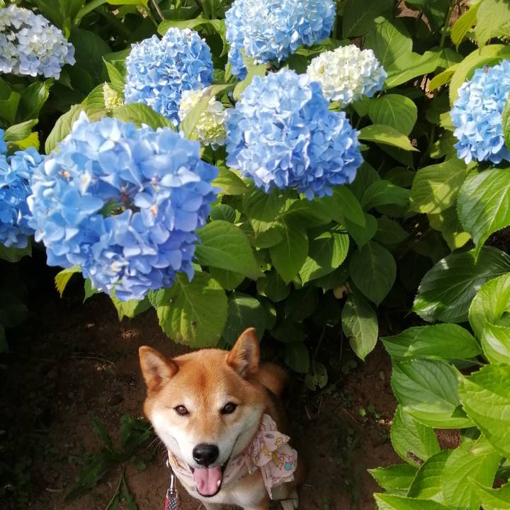 Dd0eff09 d877 499f b935 efad19091e86 1623398001010