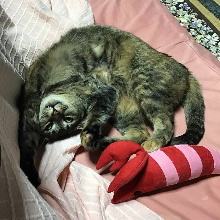 Dd0f2258 ac84 43e9 b87d 19efb63976a8 1682686781568