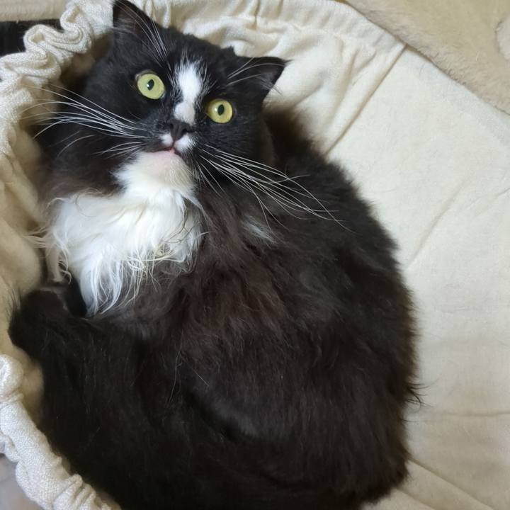 Dd0f35d9 896b 40fd 875c 130d97751acb 1723776745410