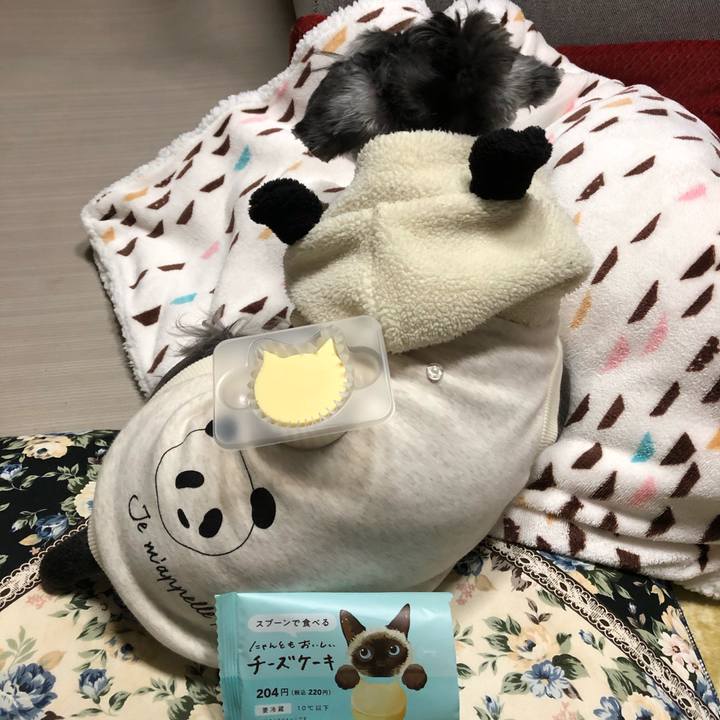 Dd0f752e 3349 4625 aab0 55db8a2f46fd 1646401630850